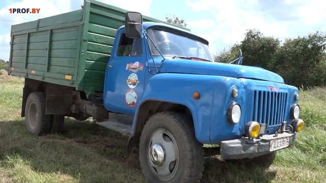 В Слуцком районе школьники помогают убирать урожай смотреть онлайн