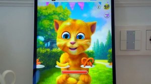 Сеня играет с Говорящим  Котом и учится Правилам Поведения