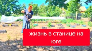501 🏠 Купили дом в станице на юге. Живём как можем.