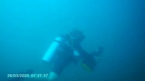 Thailand, Crazy fish and an instructor on an underwater tug