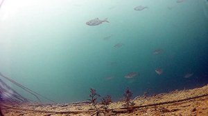 Закинул ПОДВОДНУЮ КАМЕРУ в озеро с ГОЛУБОЙ ВОДОЙ. Бол?