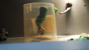 Анимация мёртвые рельсы сезон 1 серия 4