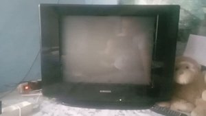 Samsung Телевизор CS-21Z57ZQQ Звук запуска и выключения