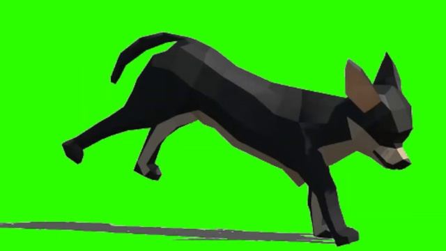 черная собака бегать зеленый экран смотреть онлайн