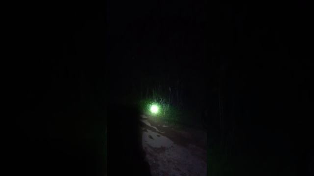 соловей