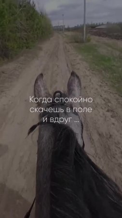 Чисто Колян😃