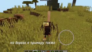 6 ЛУЧШИХ МОДОВ на ЖИВОТНЫХ в МАЙНКРАФТ ПЕ 1.21!