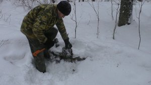 Прогулка на лыжах