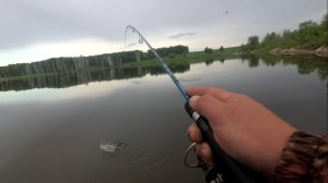 SEXY IMPACT сделал рыбалку! МИКРОДЖИГ в слом погоды