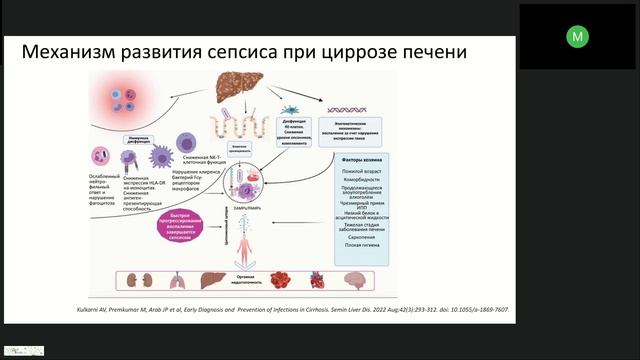 Вебинар "Инфузионная терапия в гепатологии"
