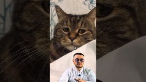 Ссылка на бесплатный урок в описании