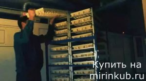 Инкубаторы Стимул для фермеров