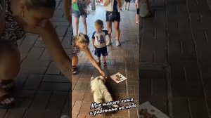 Мне такого кота
