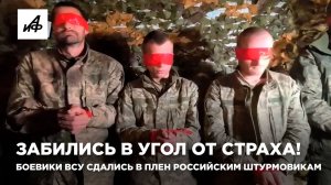 Забились в угол от страха! Боевики ВСУ сдались в плен российским штурмовикам