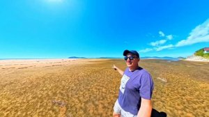 Приморье 2024