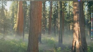 Как установить Synology на жесткие диски SAS и значительно ?