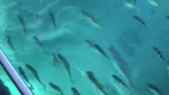 На яхте на Сейшелах