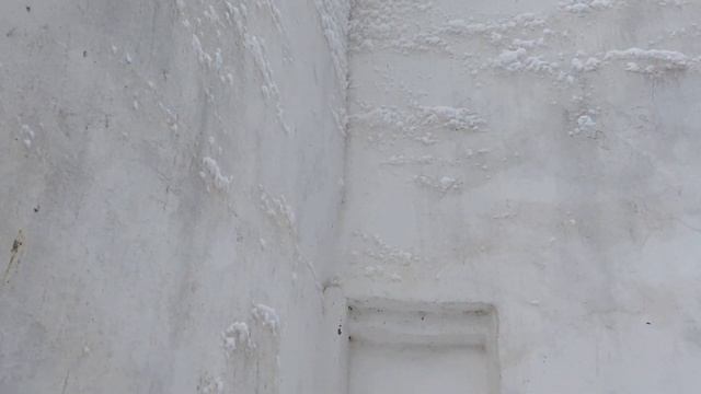 Ковалево, Волотово, Деревяницы, Новгородская область. смотреть онлайн