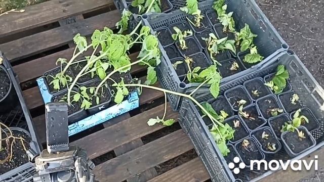 ! Мы ждём покупателей к нам домой))) зарайский район д. Л смотреть онлайн