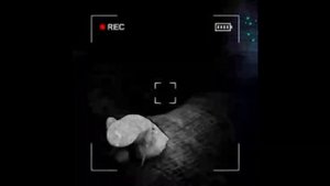 CONTENT WARNING | моменты с камеры