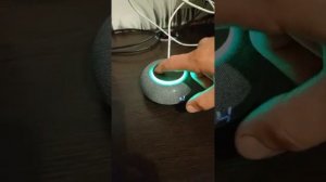 купил голосовова помощника Маруся капсула мини  (сама?