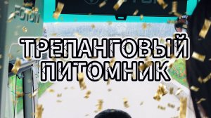 Трепанговая ферма в КНДР. Русские туристы, обед из морских деликатесов в северокорейской провинции