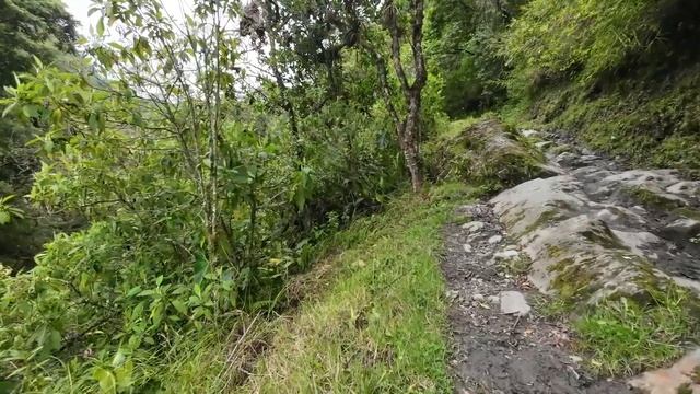 Пошли в горы в долине Кокора, попали под дождь Падение смотреть онлайн