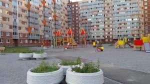 Срочные новости Красочное Мурино Санкт-Петербург