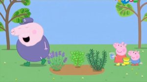 Свинка Пеппа В Реальной Жизни. (Детские Мультфильмы с