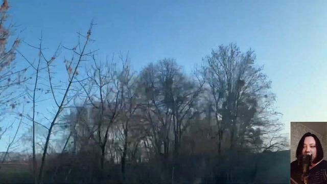 Не надо было купаться в забытом озере… смотреть онлайн