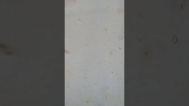 teging part 1 вместе с solir и Roza смотреть онлайн