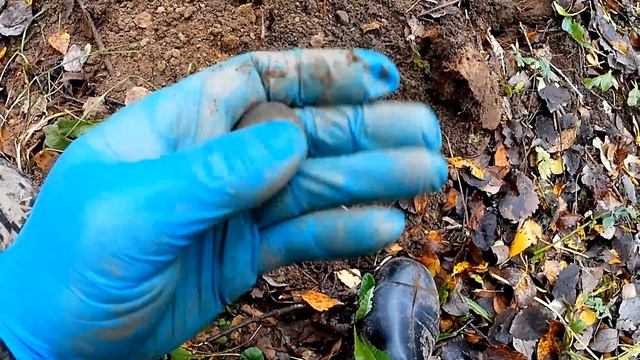 Металлокоп и Монетокоп на экшн камеру с Minelab X-Terra Pro. смотреть онлайн