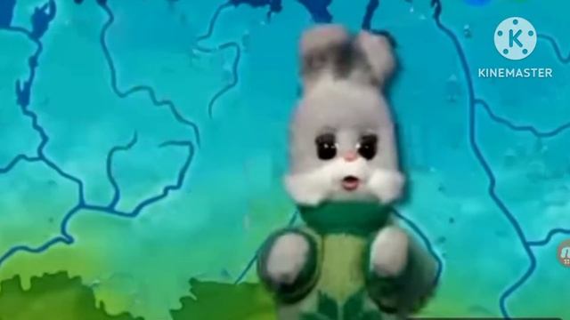 ПОГОДА ТВ С НОВЫЙ ТВ С ЗИМЫ 05.12.2024 ЗАСТАВКА СТЕПАШКОЙ смотреть онлайн