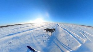 -24 С Рождеством!!!