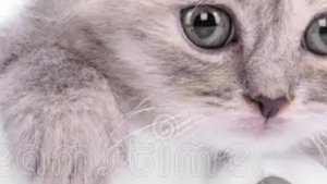 Это я котик) И я вернулся и играю в хоррор назв. В описании видео удачи😇