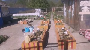 От праздников до  пахоты на огороде.)Купили ротанг для плетения.Видео на мой стих.