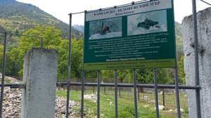 Тебердинский Заповедник. Карачаево - Черкесия. Май 2024.