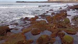 Пипецкая морская звезда!!!! Девять лучей наконец-то пов