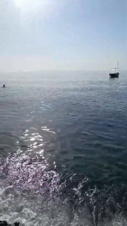 Прекрасное утро у моря/Крым/Приветное