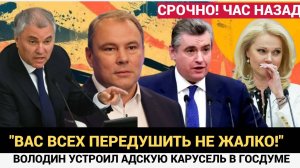 В ГОСДУМЕ АВРАЛ И ИСКРЫ! Володин устроил АДСКУЮ ПОРКУ Толстому, Калашникову и всем подряд