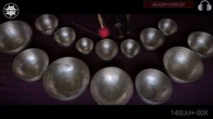 14SUcl+-00X Набор 14 поющих чаш Healingbowl® Professional Surya® Classic Plus