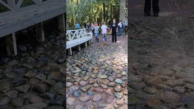 седьмая часть как мы приехали в Петергоф смотреть онлайн