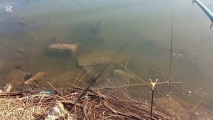 Карась на донку, открытие сезона жидкой воды,озеро Бай