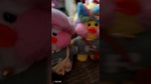 уточки🥰🥰🥰🥰🥰🥰🥰🥰🥰🥰