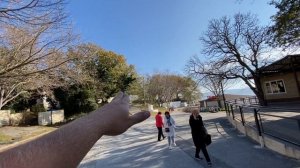 ГЕЛЕНДЖИК. ЕЩЁ ОДИН МАССОВЫЙ СНОС