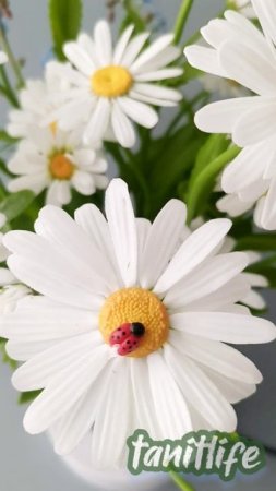 Букет из полевых ромашек и незабудок. Холодный фарфор.