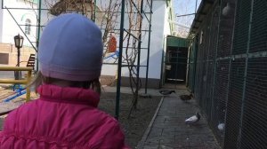 Детская площадка на территории храма Дмитрия Ростовского. Сальск