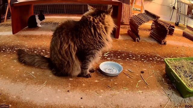 Она снимала все на телефон - Мир рассказов смотреть онлайн