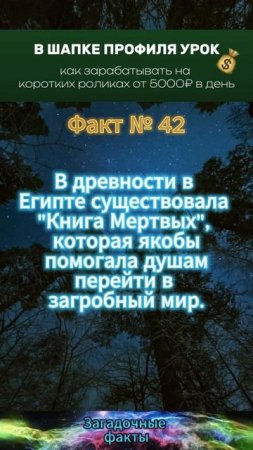 факт (3)
