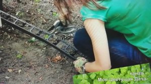 Бордюр для клумбы за полчаса. Справится даже девушка